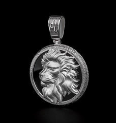 Star of David Lion Necklace, Magen David Necklace, Support Israel Necklace, Lion of Judah in star of David 521