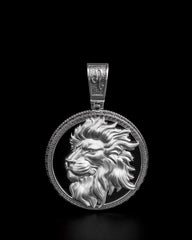 Star of David Lion Necklace, Magen David Necklace, Support Israel Necklace, Lion of Judah in star of David 521