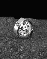 Bull Ring,Jewelry, Zodiac Taurus Signet Ring For Men in Sterling Silver, For Men, Animal Ring, Horoscope  Jewelry, Birthday Gift for Him 468